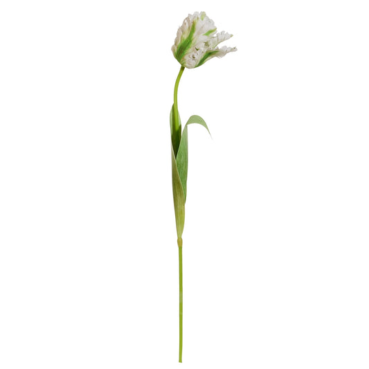Real Touch Parrot Tulip Stem