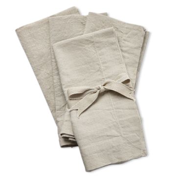 Threads Slub Napkin Set of 4