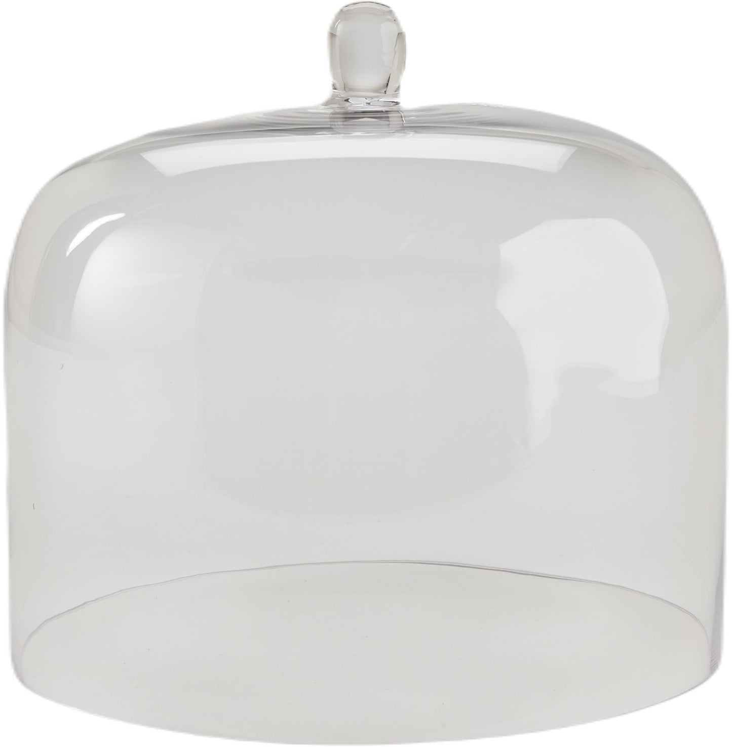 Large Glass Cloche