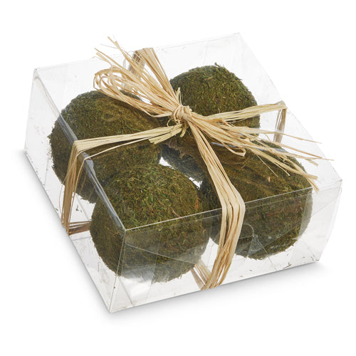 Moss Balls 3.5" Box of 4