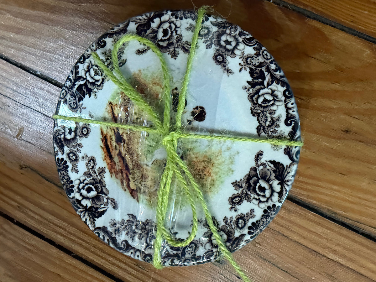 Coasters Set of 4