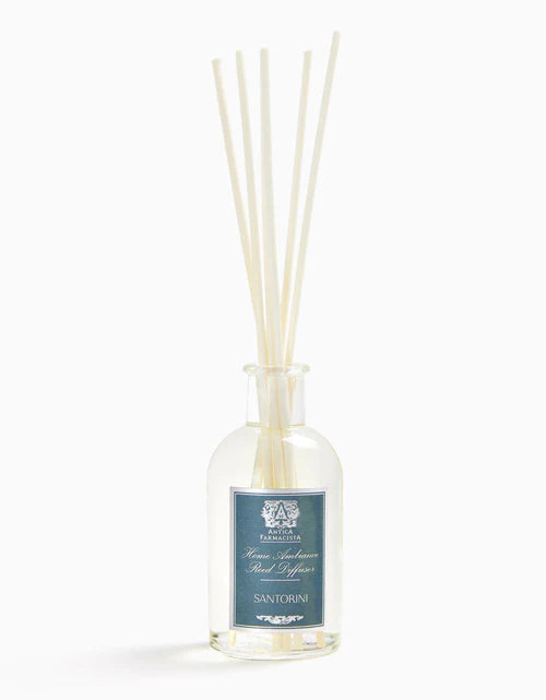 100ml Diffuser with Reeds