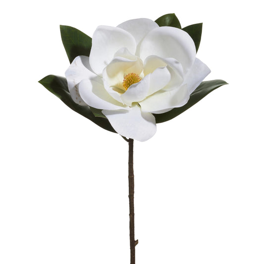 Magnolia Blossom Stem 18"