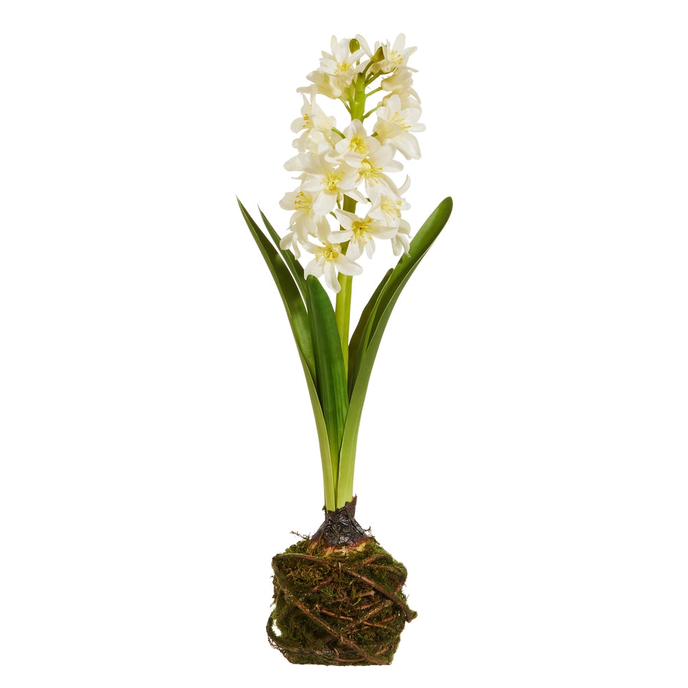 White Hyacinth Drop In