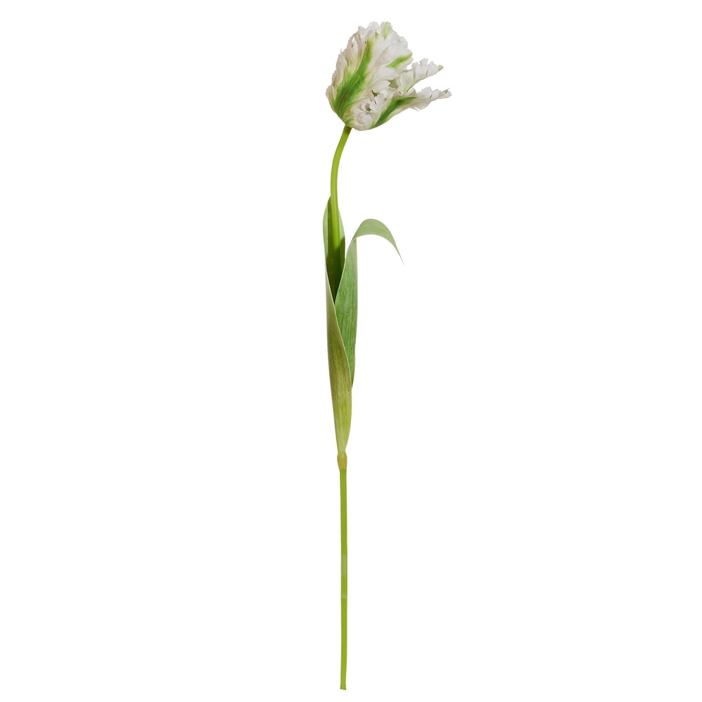 Real Touch Parrot Tulip Stem
