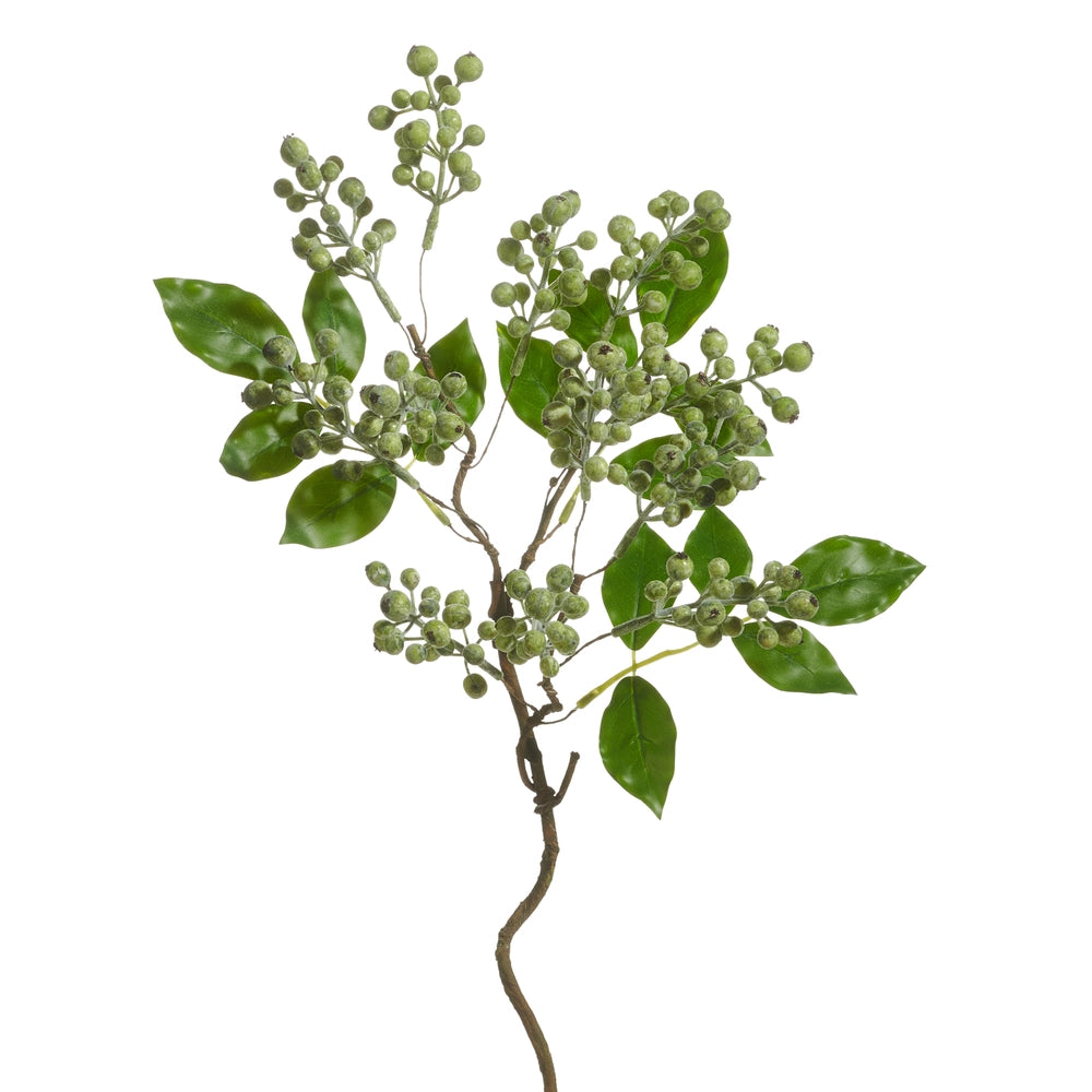 Green Berry Branch