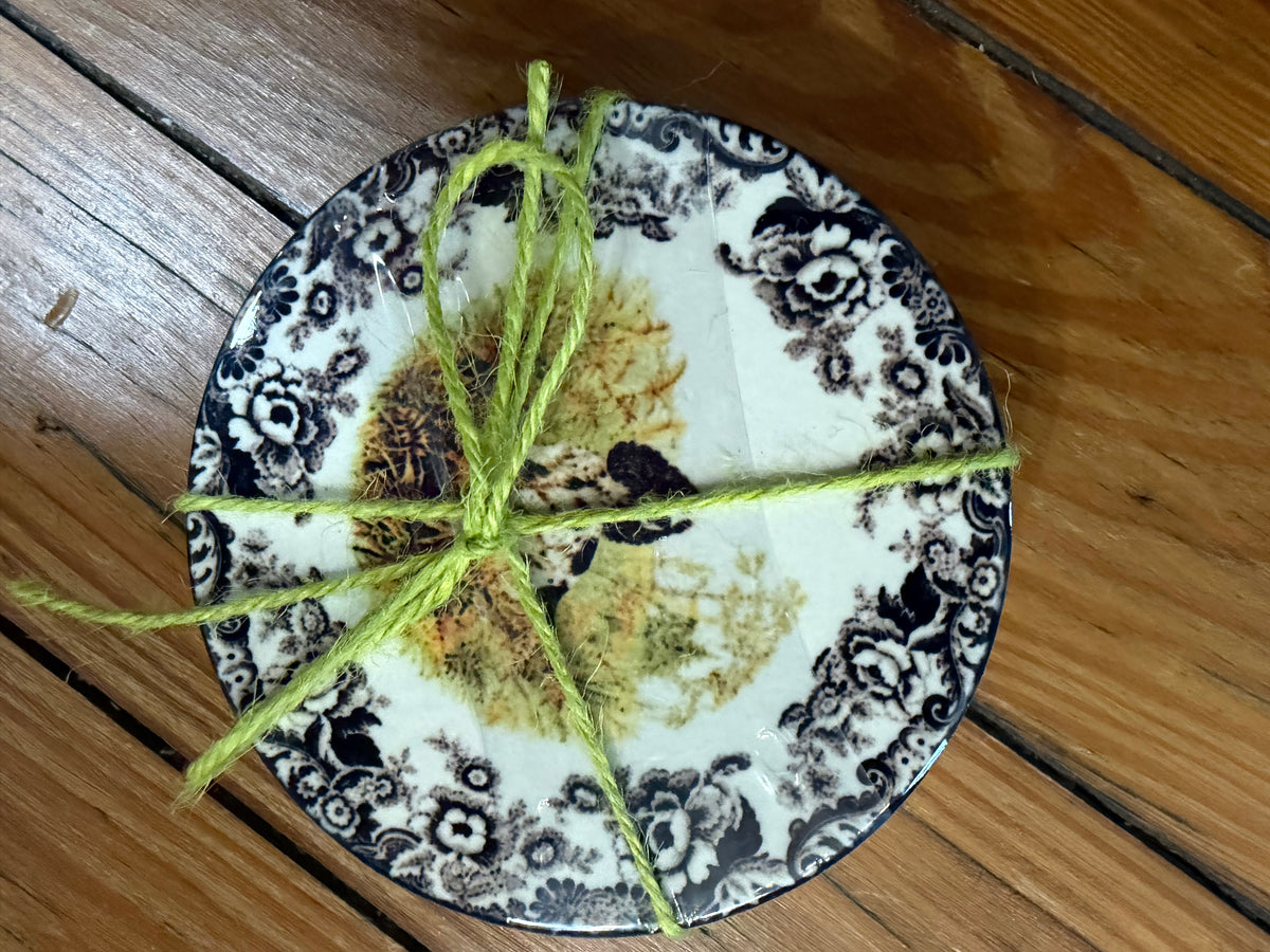 Coasters Set of 4