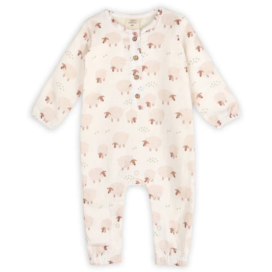 Long Sleeve Baby Jumpsuit