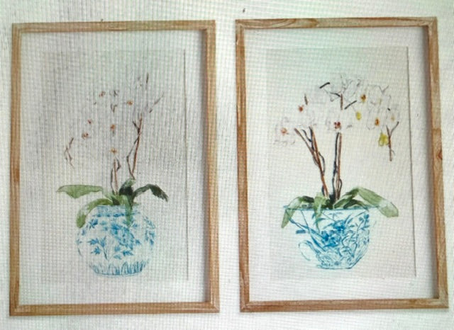 Potted Phalaenopsis Print  17x1x24inches