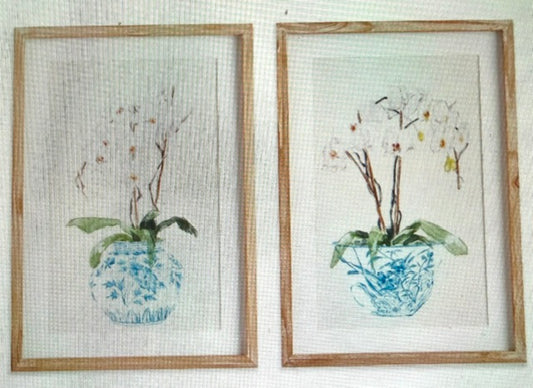 Potted Phalaenopsis Print  17x1x24inches