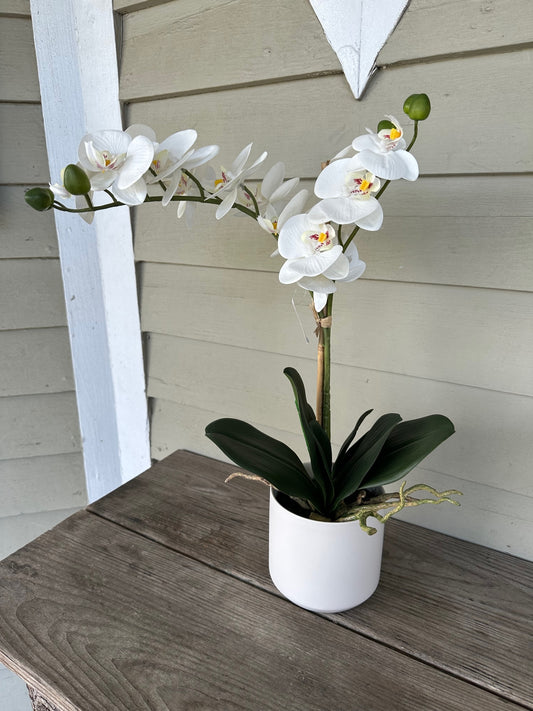 18.25in Real Touch Potted Orchid