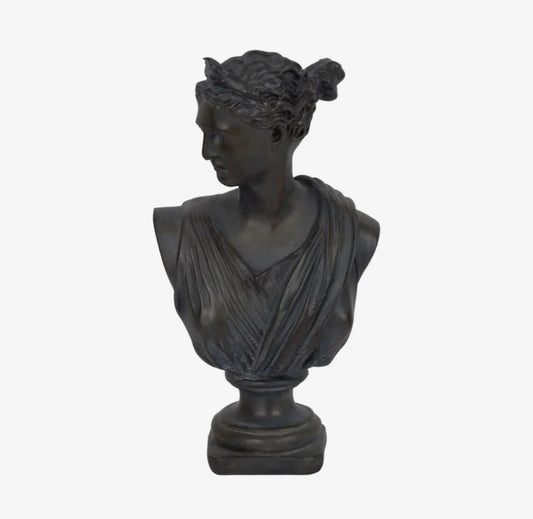 Brown Resin Grecian Bust 12inch