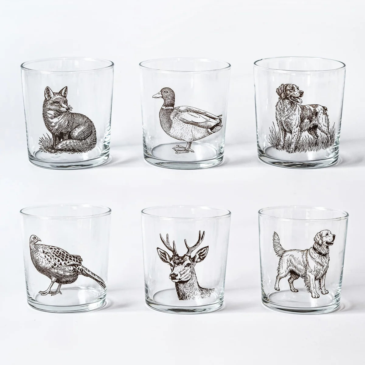 Wildlife Assorted Tumblers Set of 6