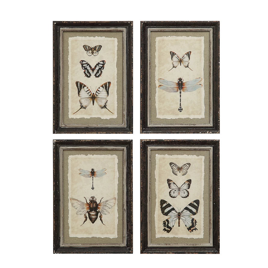 Framed Wall Decor Insect Print