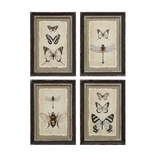 Framed Wall Decor Insect Print