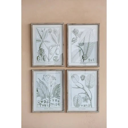 Framed Print with Plant