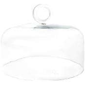 Ring Handle 12 Glass Dome