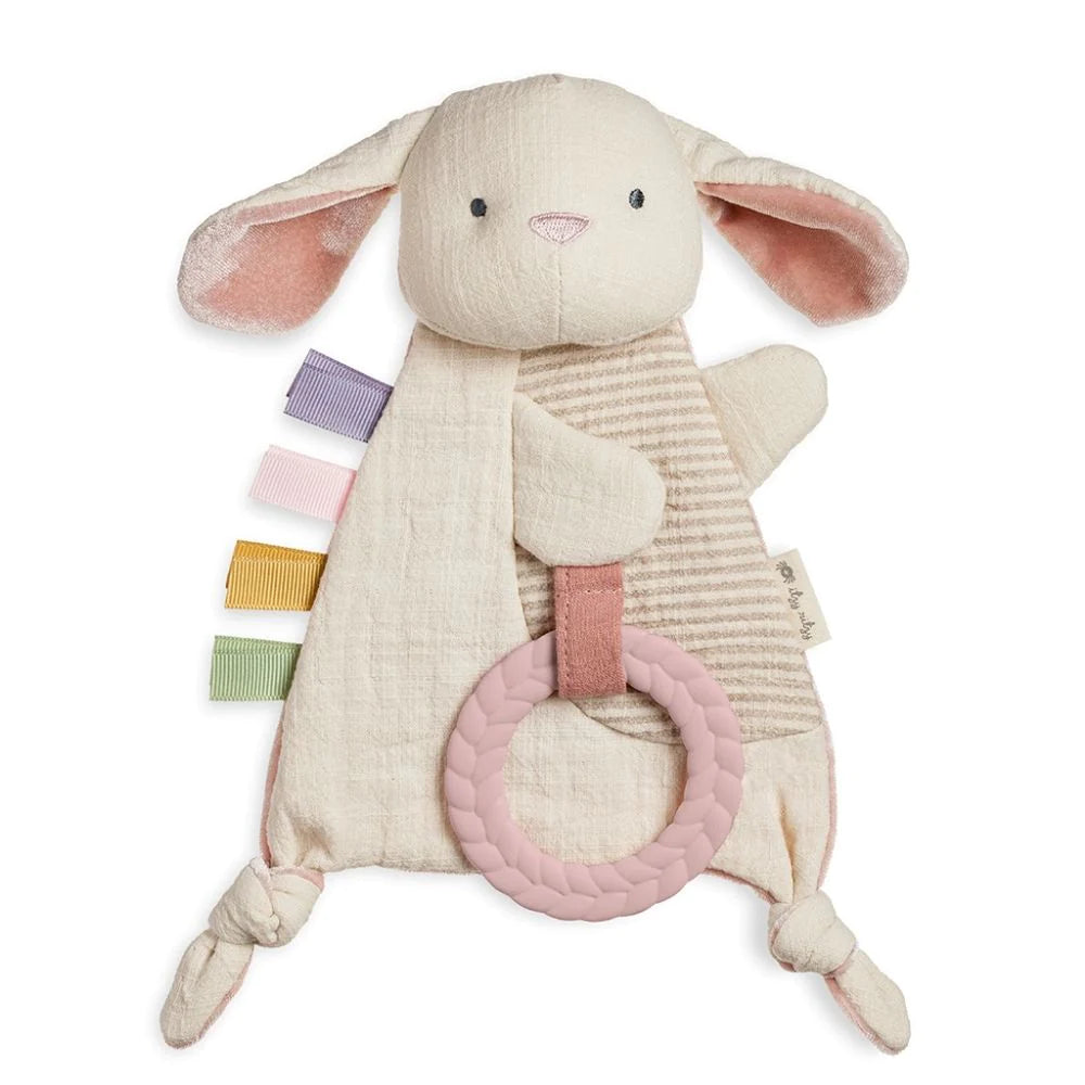 Bitzy Crinkle Sensory Toy
