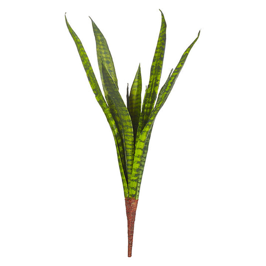 Snake Plant Stem 13inch