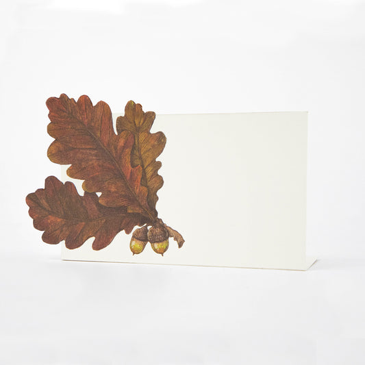 Paper Place Cards