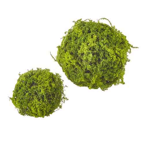 Small Moss Ball